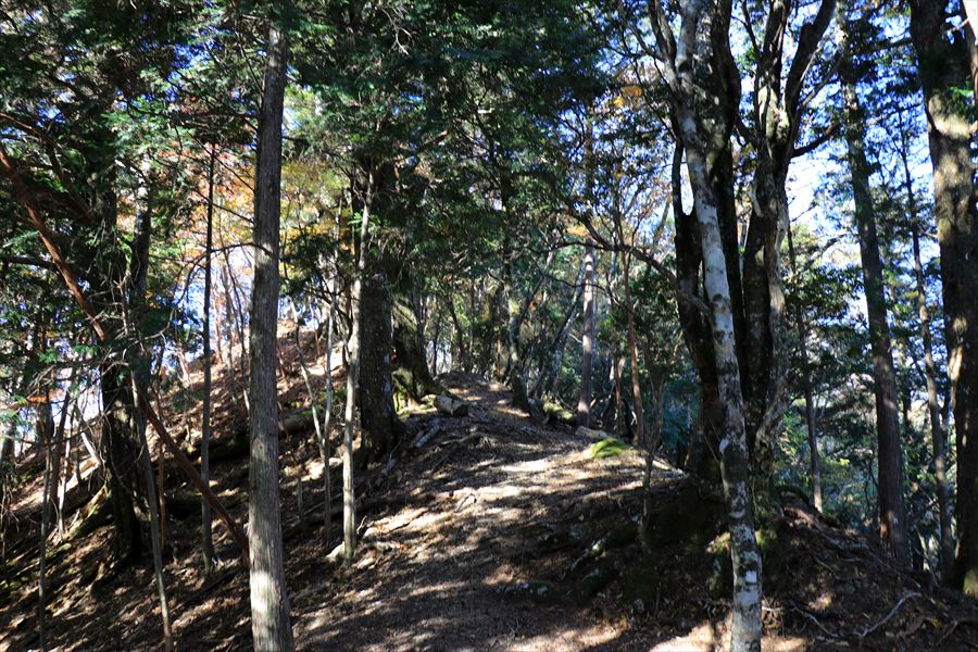 地蔵峠 登山道 尾根道 尾鷲道 台高山脈