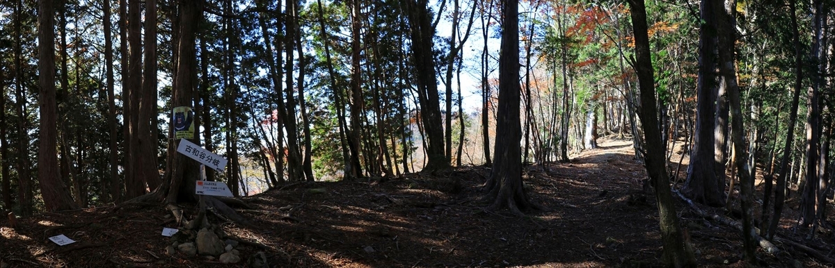 小和谷 分岐 看板 尾鷲道 台高山脈