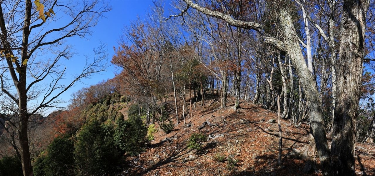 又口辻 龍辻 登り坂 尾鷲道 台高山脈