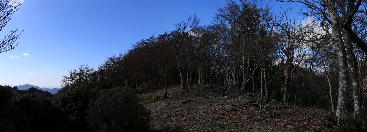 又口辻 龍辻 尾根 展望 尾鷲道 台高山脈