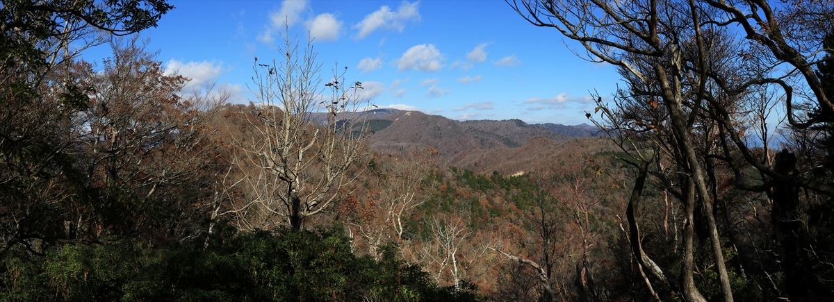 龍辻山 中ノ嶺 展望 バリエーションルート 尾鷲道 台高山脈