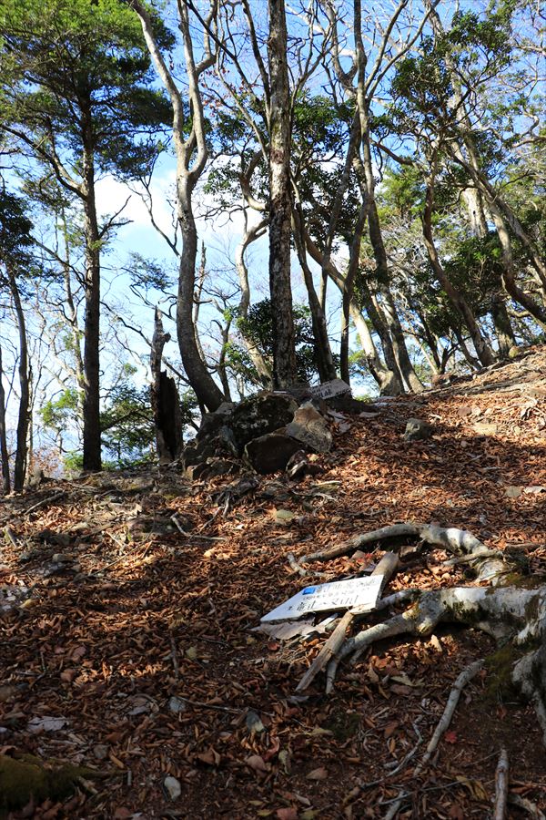 中ノ嶺 新木組峠 急登 看板 登山道 尾鷲道 台高山脈