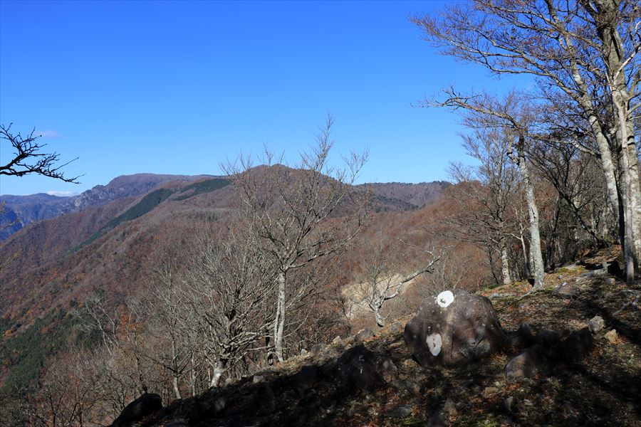 新木組峠 展望 尾鷲道 台高山脈 快晴