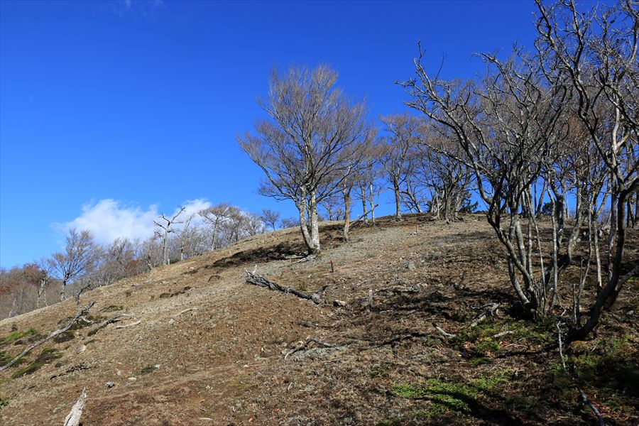 新木組峠 展望地 快晴 青空 尾鷲道 台高山脈
