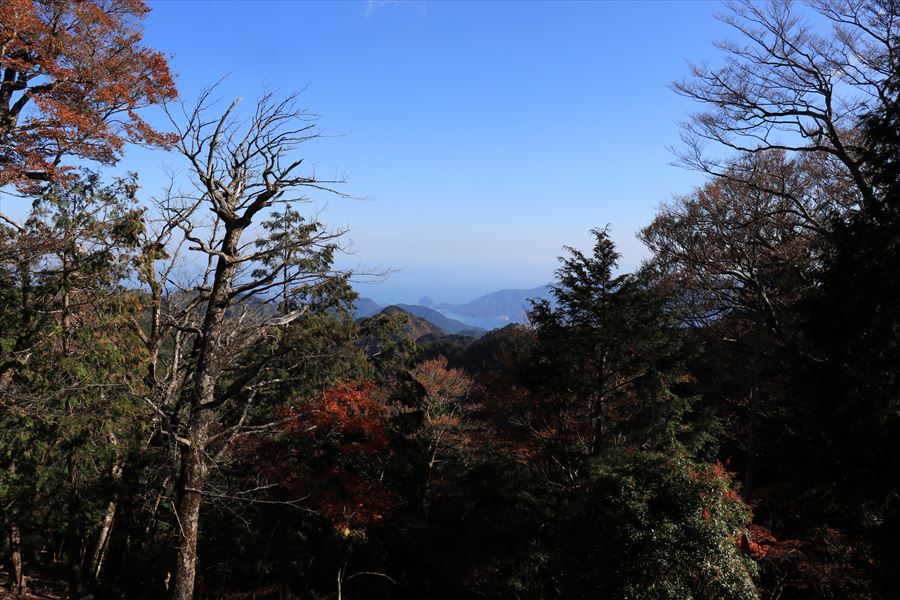 新木組峠 展望 尾鷲湾 リアス式海岸 尾鷲道 台高山脈