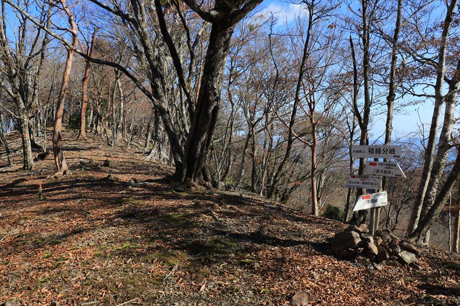 木組峠 稜線分岐 看板 尾鷲道 台高山脈
