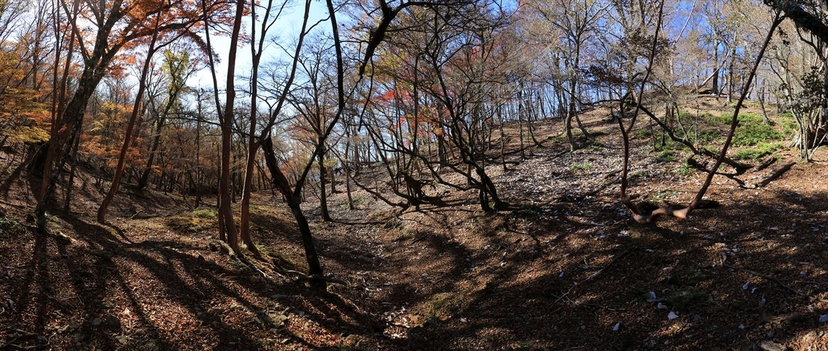 木組峠 樹林帯 景色 尾鷲道 台高山脈