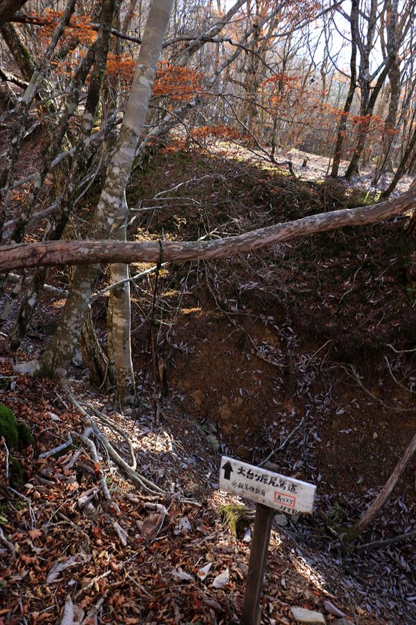 木組峠 崩落箇所 ロープ 登山道 尾鷲道 台高山脈