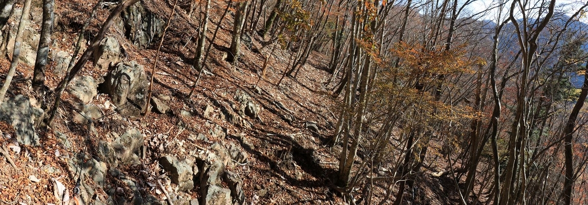 木組峠 マブシ嶺 トラバース ロープ 登山道 尾鷲道 台高山脈