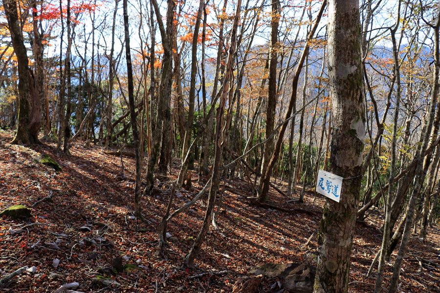 木組峠 マブシ嶺 登山道 看板 尾鷲道 台高山脈