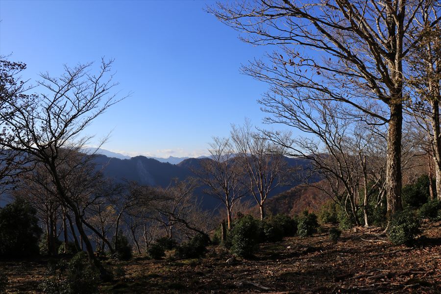 木組峠 マブシ嶺 景色 尾鷲道 台高山脈