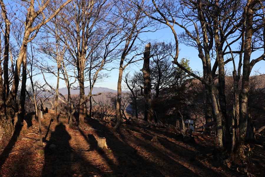 地倉山 山頂 樹林帯 尾鷲道 台高山脈