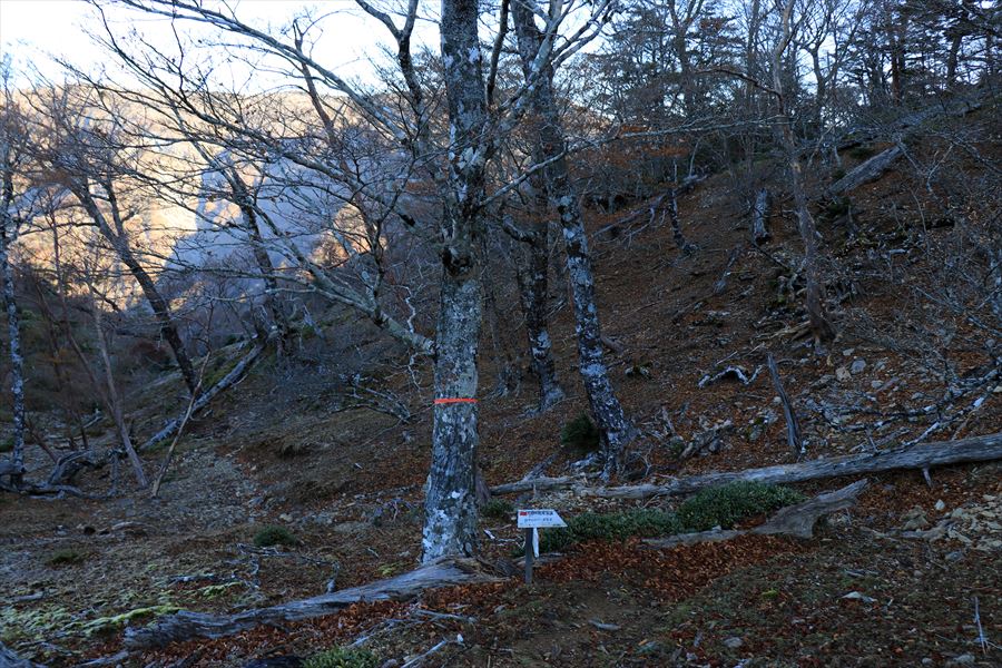 雷峠 看板 尾鷲道 台高山脈