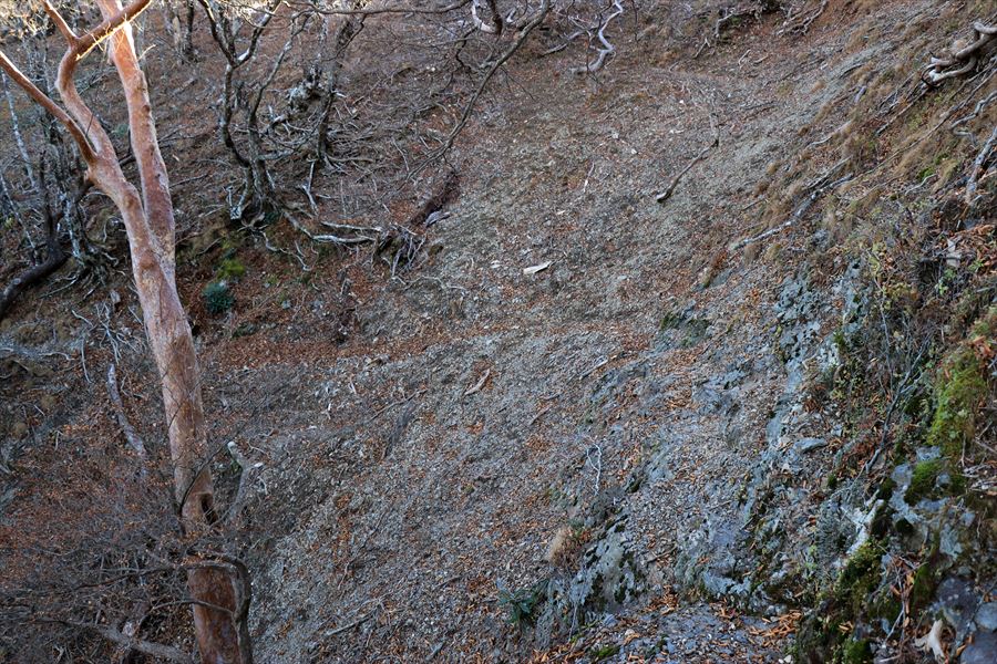 雷峠 登山道 トラバース ザレ場 尾鷲道 台高山脈