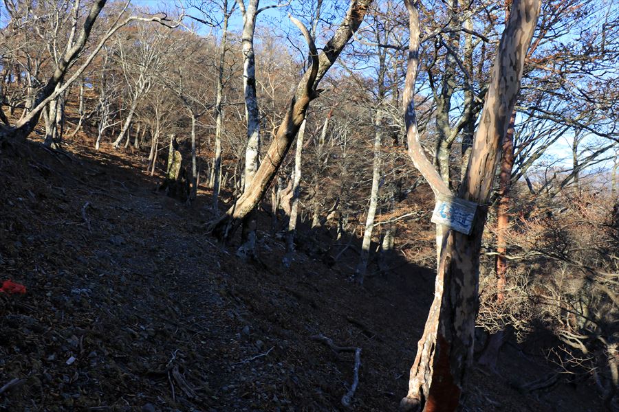 雷峠 登山道 看板 案内 尾鷲道 台高山脈