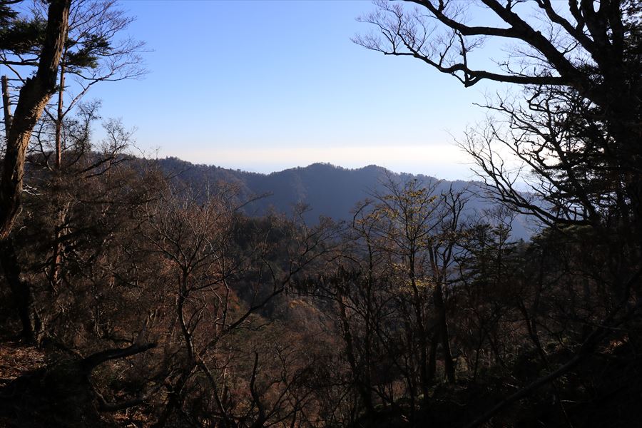雷峠 地池高 展望 樹林帯 尾鷲道 台高山脈