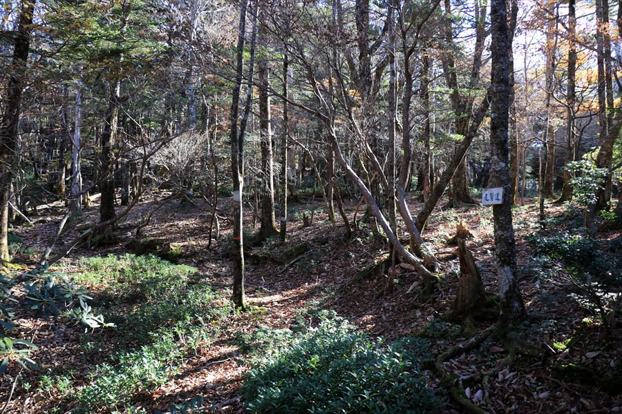 白サコ 堂倉山 看板 トラバース 尾鷲道 台高山脈