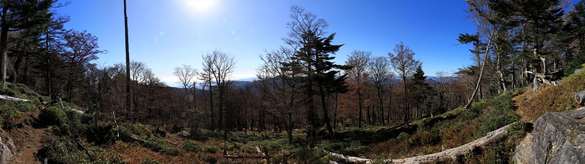 尾鷲辻 堂倉山 展望 尾鷲道 台高山脈 大台ヶ原