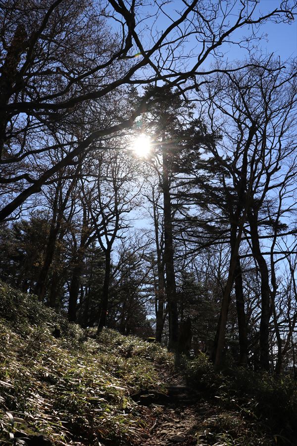 尾鷲辻 堂倉山 朝日 尾鷲道 台高山脈 大台ヶ原