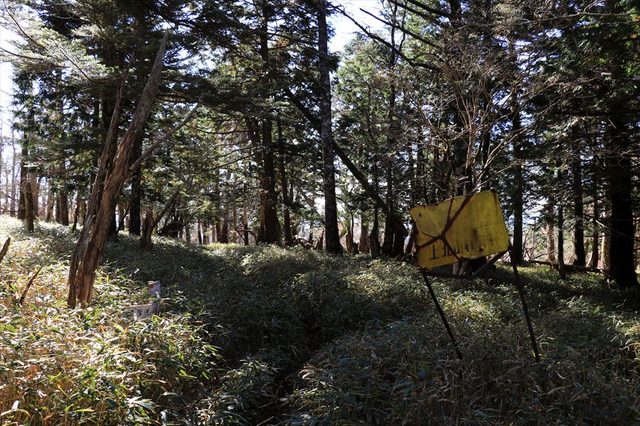 尾鷲辻 堂倉山 看板 尾鷲道 台高山脈 大台ヶ原
