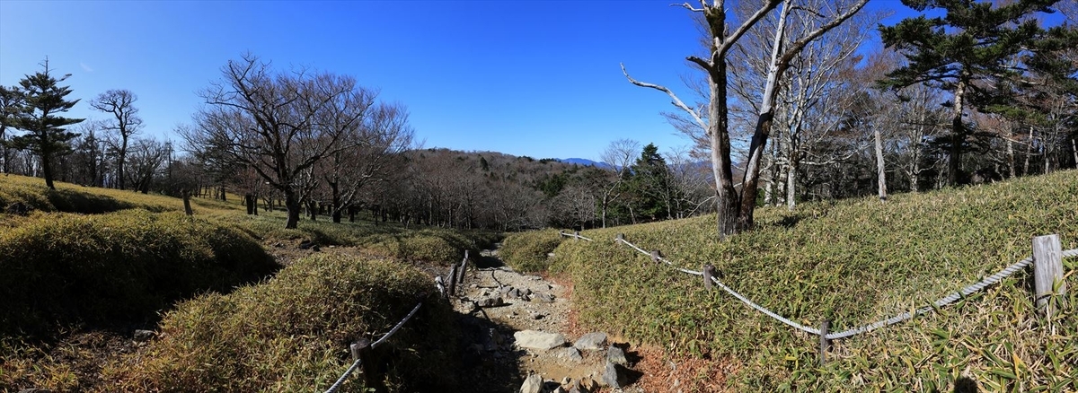 牛石ヶ原 登山道 下り坂 台高山脈 大台ヶ原