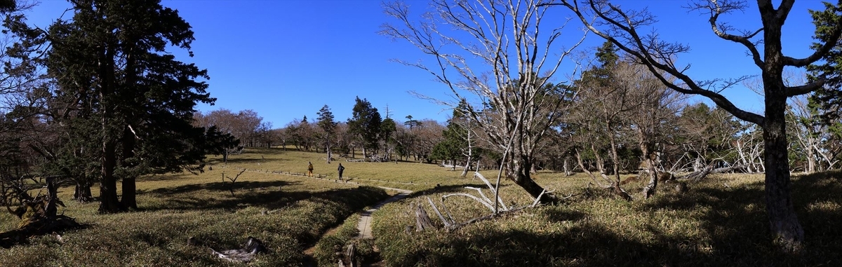 牛石ヶ原 登山道 笹原 樹林帯 台高山脈 大台ヶ原