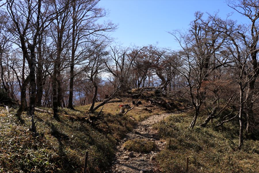 大蛇嵓 登山道 尾根 台高山脈 大台ヶ原