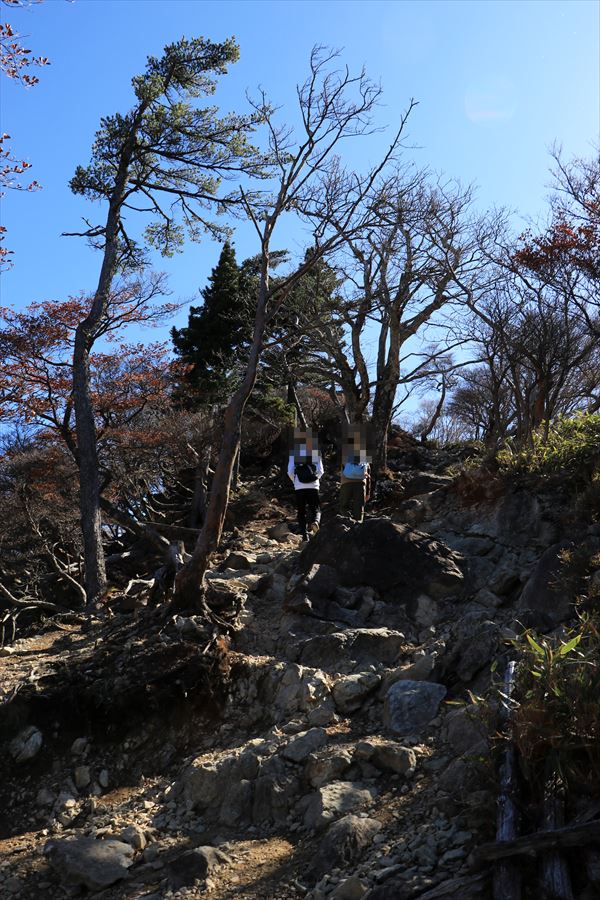 大蛇嵓 登山道 岩場 急坂 台高山脈 大台ヶ原