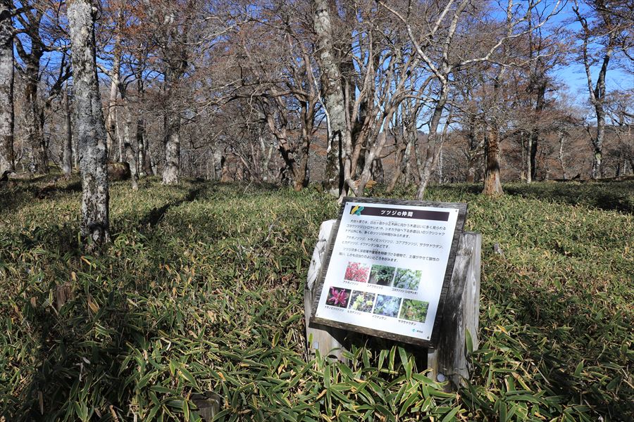 大蛇嵓 分岐 観光 看板 台高山脈 大台ヶ原