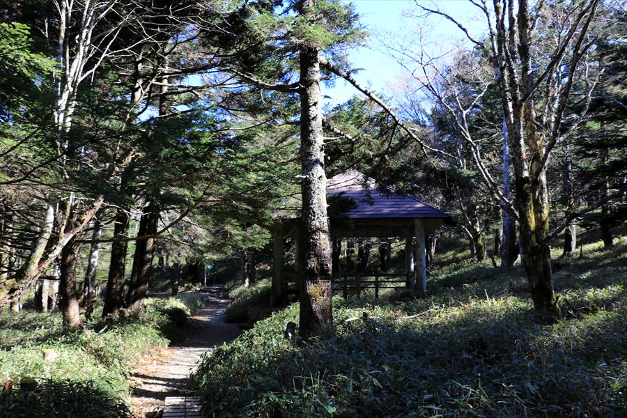 尾鷲辻 東屋 分岐 台高山脈 大台ヶ原