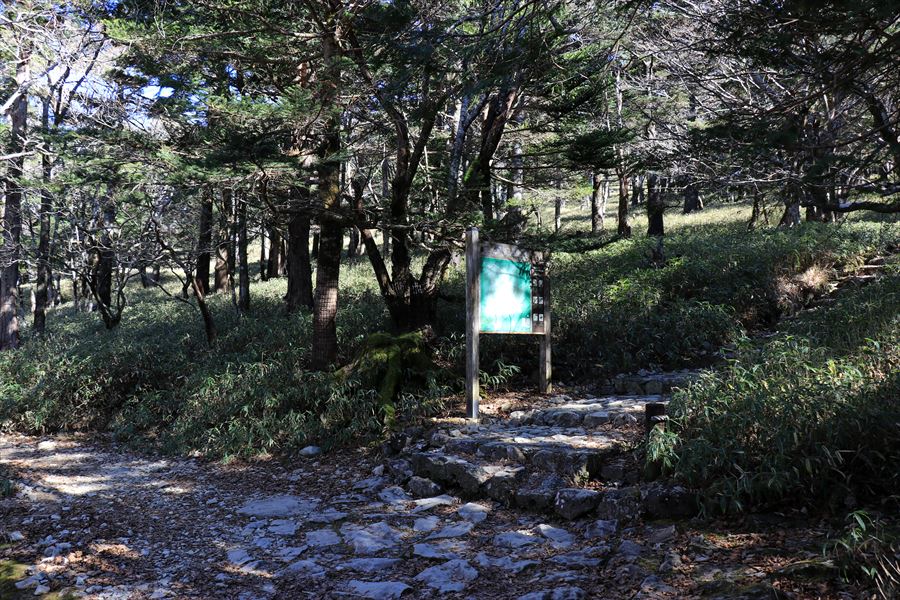 尾鷲辻 正木ヶ原 分岐 台高山脈 大台ヶ原