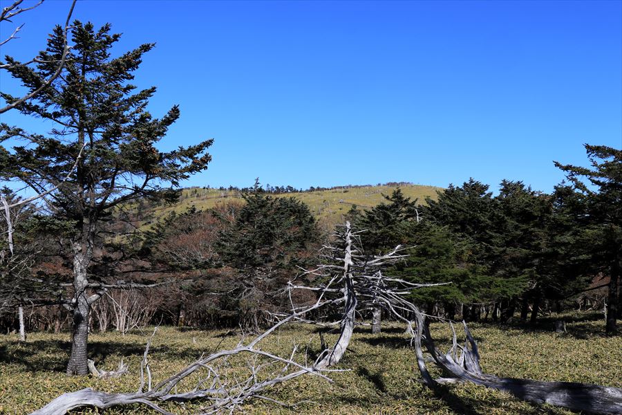 正木ヶ原 展望 望遠 台高山脈 大台ヶ原