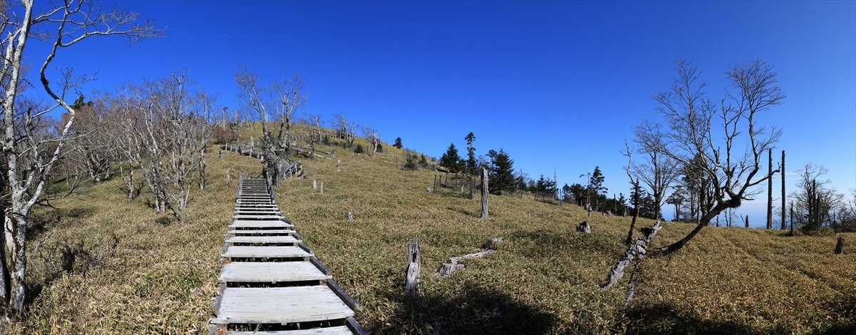 正木ヶ原 正木嶺 階段 登山道 台高山脈 大台ヶ原