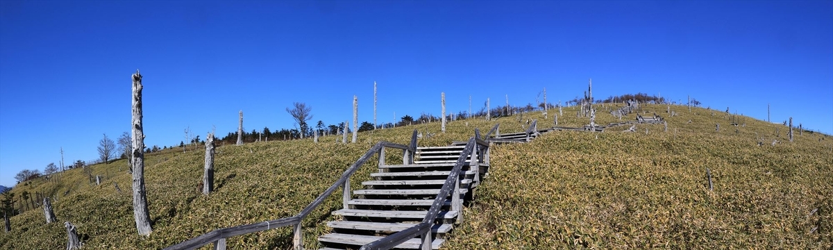 正木嶺 登り坂 階段 登山道 台高山脈 大台ヶ原