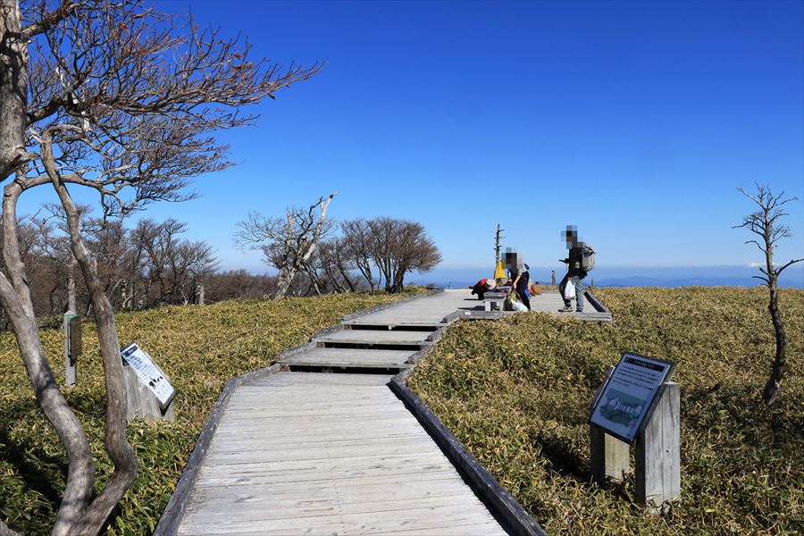 正木嶺 正木峠 展望台 登山道 台高山脈 大台ヶ原