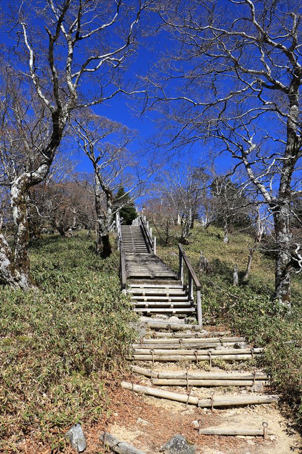 正木峠 日出ヶ岳 登り坂 階段 山頂直下 台高山脈 大台ヶ原