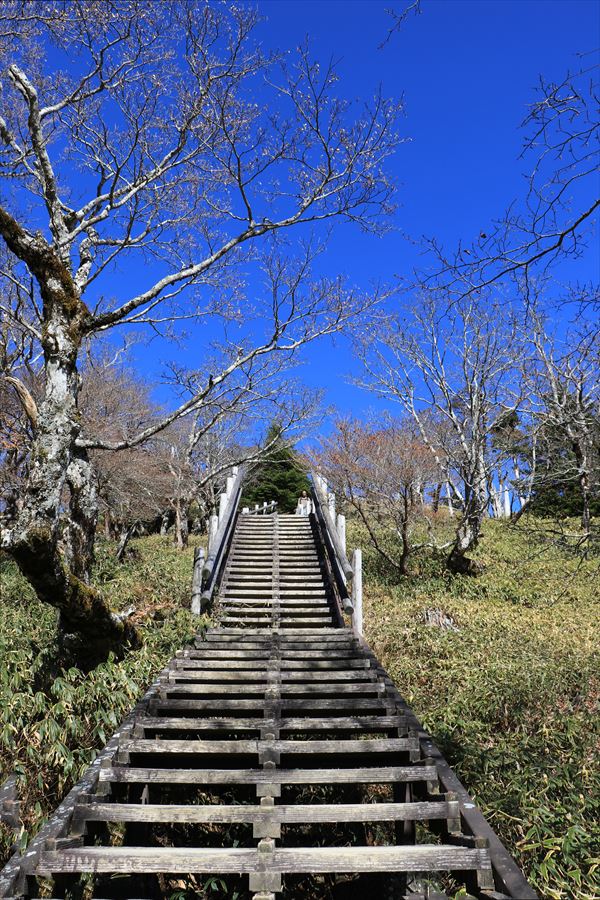 正木峠 日出ヶ岳 階段 山頂直下 台高山脈 大台ヶ原