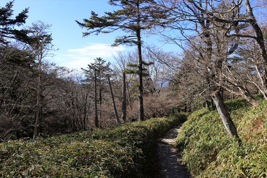 日出ヶ岳 ビジターセンター 登山道 台高山脈 大台ヶ原