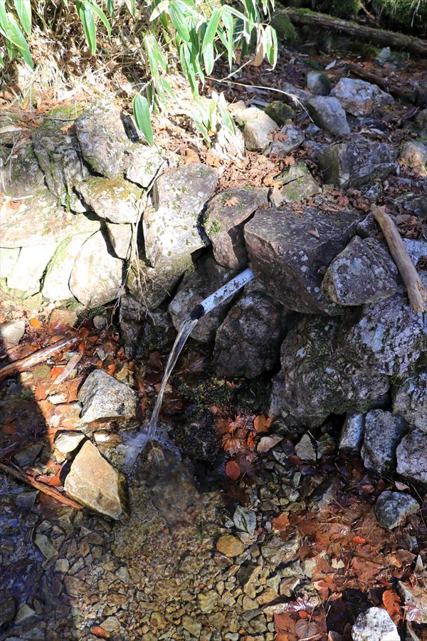 日出ヶ岳 ビジターセンター 水場 パイプ 台高山脈 大台ヶ原