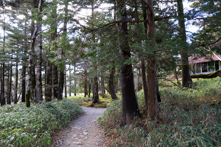 日出ヶ岳 ビジターセンター 登山道 レストハウス 台高山脈 大台ヶ原