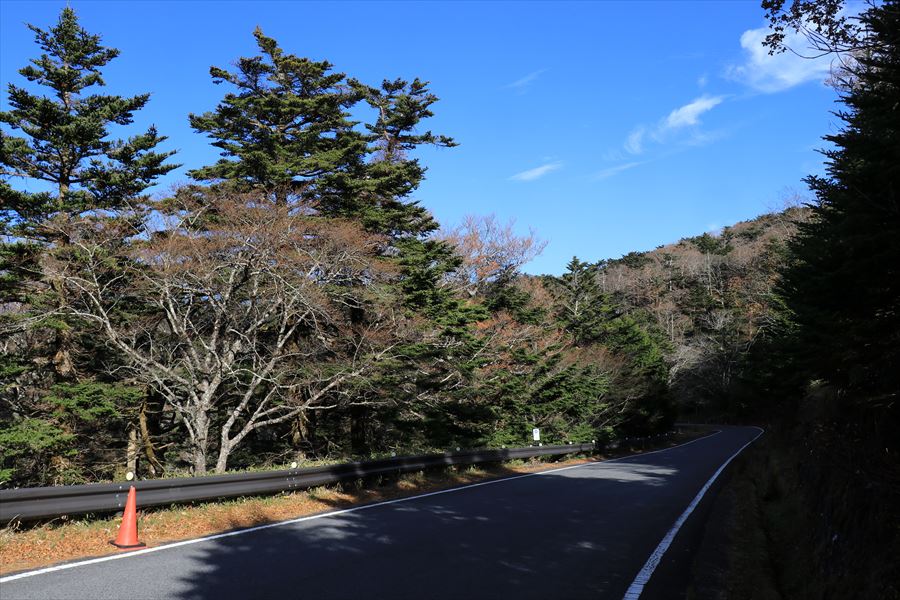 大台ヶ原ドライブウェイ 舗装道路 台高山脈
