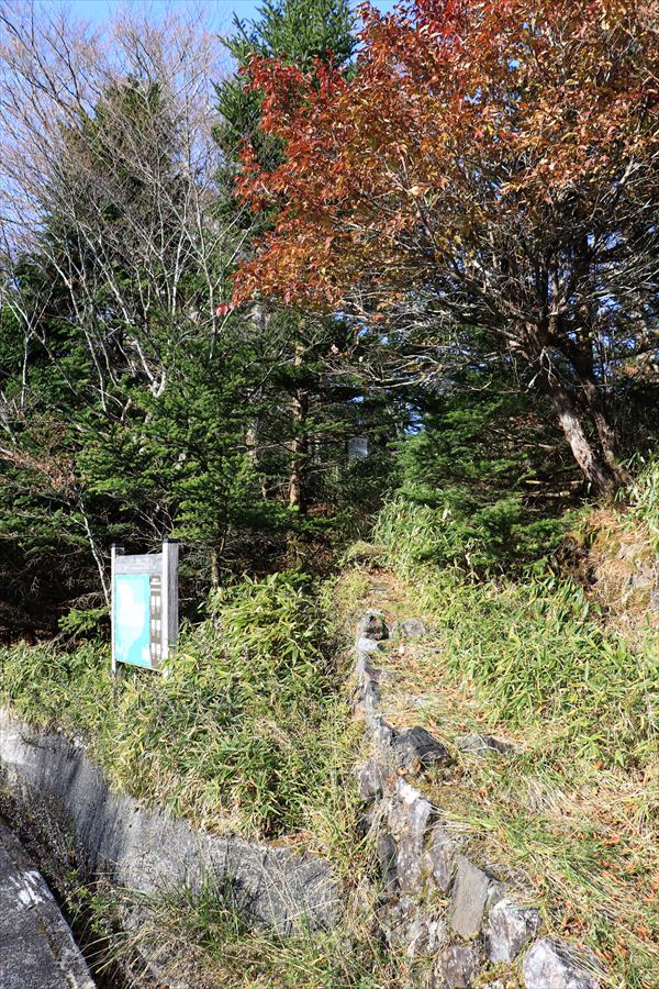 川上辻 登山口 筏場道 三津河落山 台高山脈 大台ヶ原