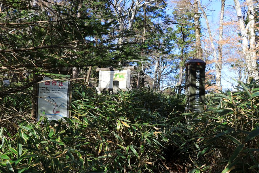 川上辻 登山口 笹薮 筏場道 台高山脈 大台ヶ原