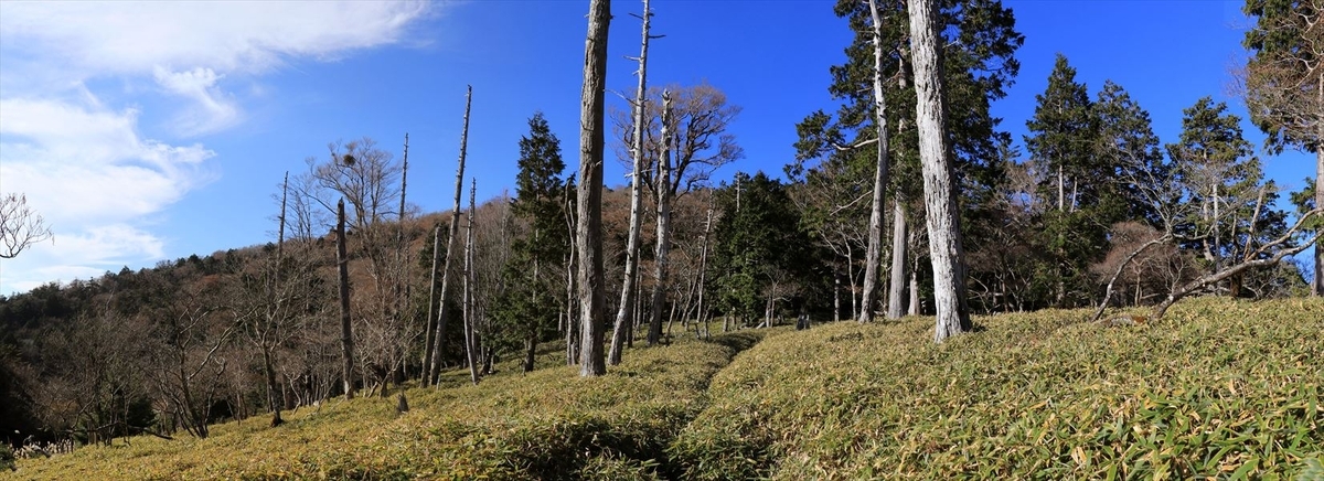 川上辻 名古屋岳 登り坂 台高山脈 大台ヶ原