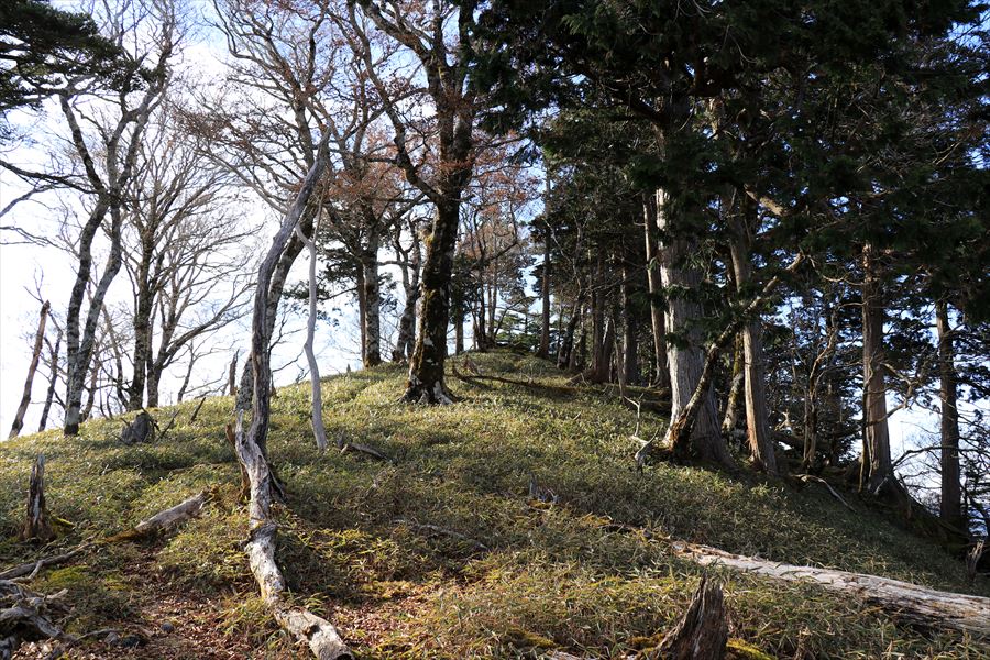 名古屋岳 山頂直下 台高山脈 大台ヶ原