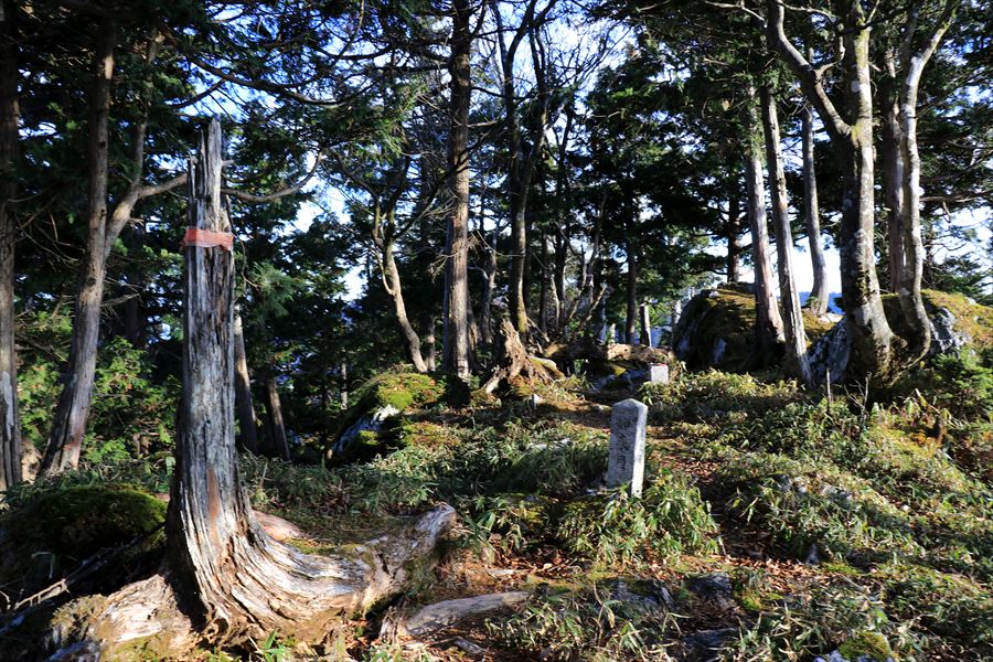 三津河落山 如来月 山頂 台高山脈 大台ヶ原