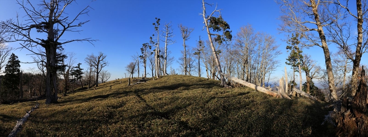 三津河落山 山頂直下 台高山脈 大台ヶ原