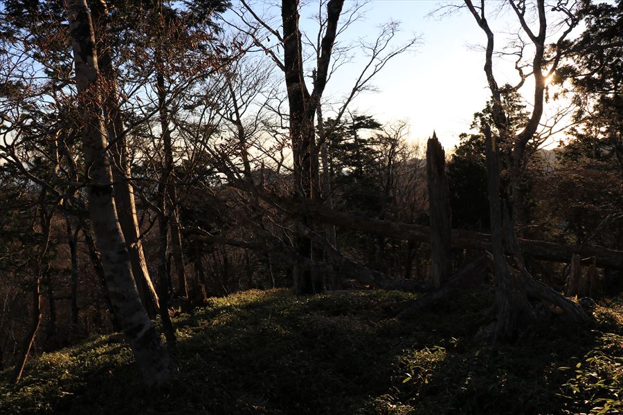 三津河落山 コブシ峠 樹林帯 台高山脈 大台ヶ原