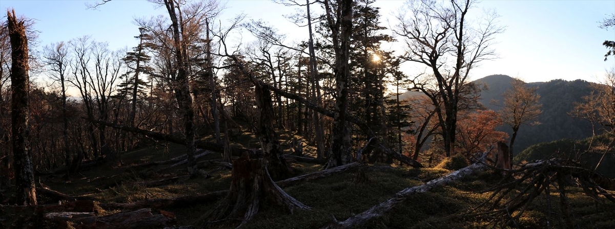 三津河落山 コブシ峠 樹林帯 バリエーションルート 台高山脈 大台ヶ原