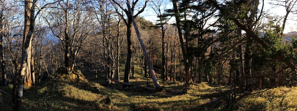 三津河落山 コブシ峠 樹林帯 笹原 バリエーションルート 台高山脈 大台ヶ原